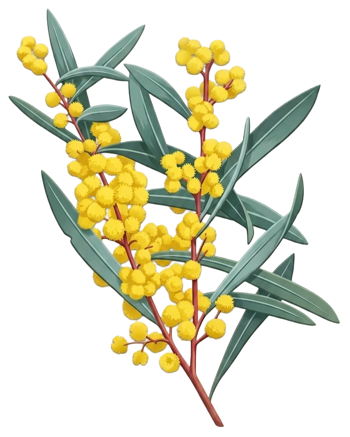 Wattle Logo
